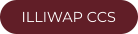 ILLIWAP CCS