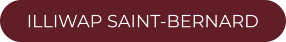 ILLIWAP SAINT-BERNARD