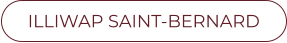 ILLIWAP SAINT-BERNARD