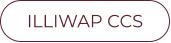 ILLIWAP CCS